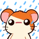 hampain