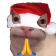 spidgePray