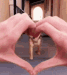 DogLove