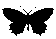 1203473452007432223