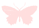 c_butterfly