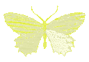 bfyellow