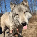 bleh