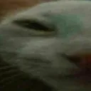 unxdd1