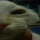 unxdd2
