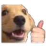 DogThumbsUp