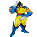 WOLVIEwipehandsclean