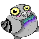 pigeon