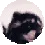 PedroPedro
