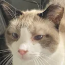 billy_stare