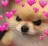 TC_doggo_love TC_doggo_love