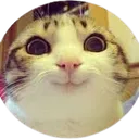 arrna arrna
