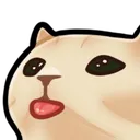 blepCAT blepCAT