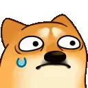 bogMonka