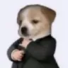 GENTLEMEN