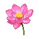 pink_flower