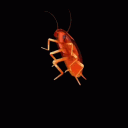 Dancingcockroach Discord Emoji