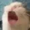 AAAAAAAAAAAAAAAA