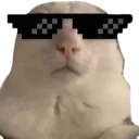 coolreginald