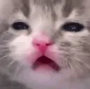 EHH