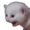 AH