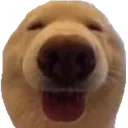 happy