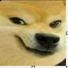 SP_doge_smirk Discord Emoji