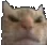 Mad
