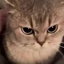 mad