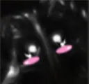 dahaka