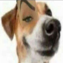 FakeNitroEmoji custom emote | Russian language and culture learning