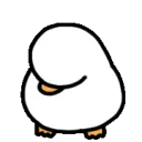 ducknod