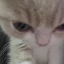 grrr