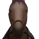 horse horse
