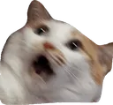 pngklevclub8q5qpmemniikotpng13 pngklevclub8q5qpmemniikotpng13