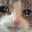 Cat_Cry