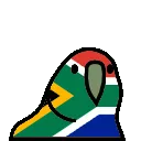 southafricaParrot