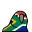 southafricaParrot