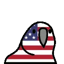 unitedstatesofamericaParrot