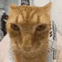juh