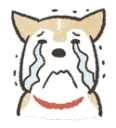 cry