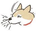 sneeze