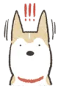 ping
