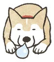 sleep