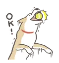 ok