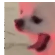 xiaobao_screamshake