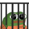 pepejailed