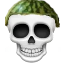 4893melonskull