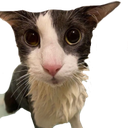soggy