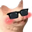 BlushySunglasso BlushySunglasso